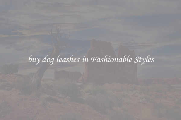 buy dog leashes in Fashionable Styles