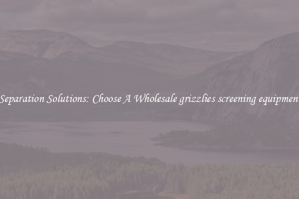 Separation Solutions: Choose A Wholesale grizzlies screening equipment