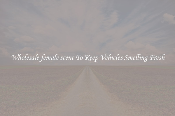 Wholesale female scent To Keep Vehicles Smelling Fresh
