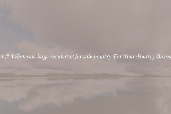 Get A Wholesale large incubator for sale poultry For Your Poultry Business