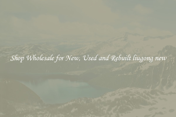 Shop Wholesale for New, Used and Rebuilt liugong new