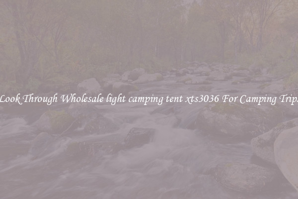 Look Through Wholesale light camping tent xts3036 For Camping Trips