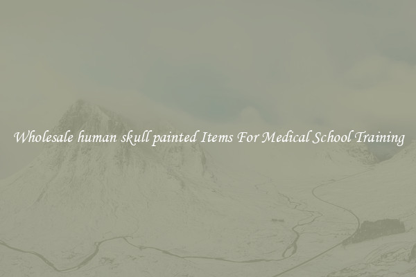 Wholesale human skull painted Items For Medical School Training