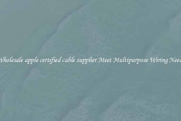 Wholesale apple certified cable supplier Meet Multipurpose Wiring Needs