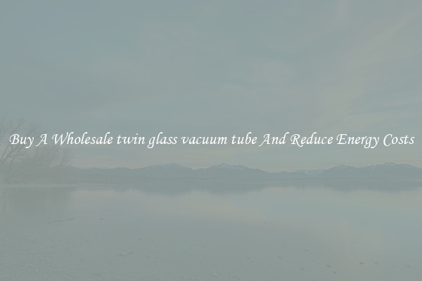 Buy A Wholesale twin glass vacuum tube And Reduce Energy Costs