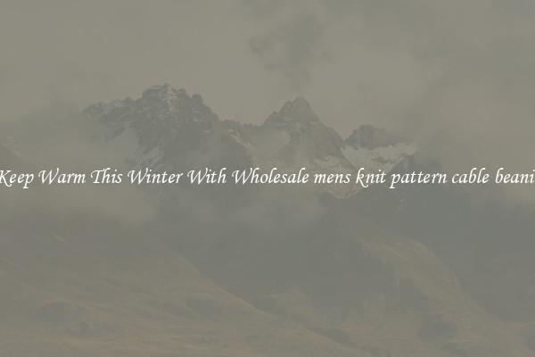 Keep Warm This Winter With Wholesale mens knit pattern cable beanie