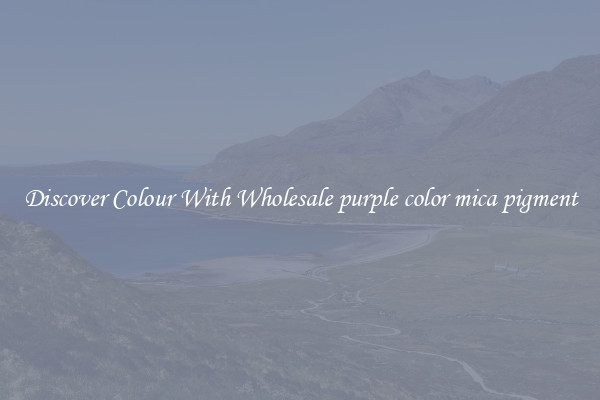Discover Colour With Wholesale purple color mica pigment