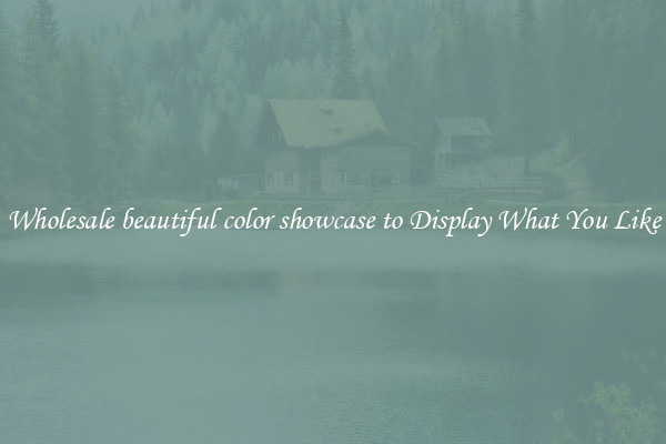 Wholesale beautiful color showcase to Display What You Like