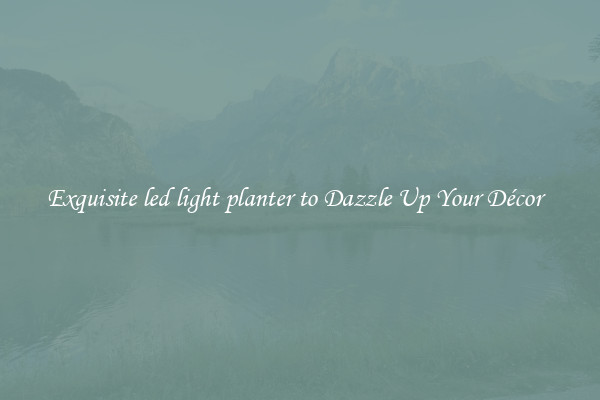 Exquisite led light planter to Dazzle Up Your Décor  