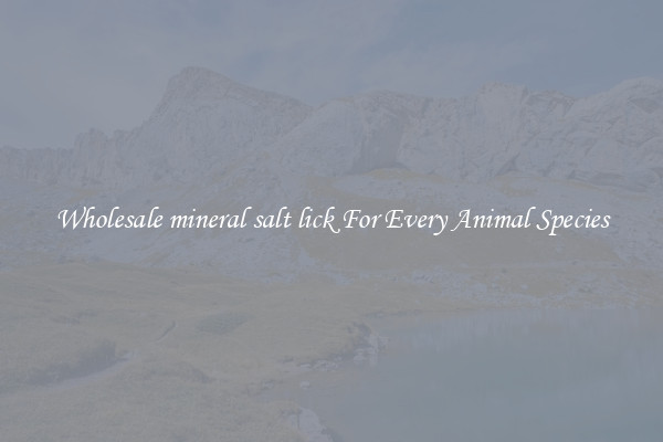 Wholesale mineral salt lick For Every Animal Species