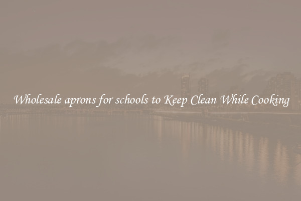 Wholesale aprons for schools to Keep Clean While Cooking