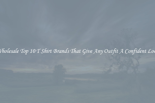Wholesale Top 10 T Shirt Brands That Give Any Outfit A Confident Look