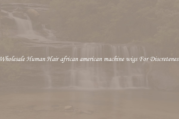 Wholesale Human Hair african american machine wigs For Discreteness