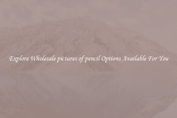 Explore Wholesale pictures of pencil Options Available For You