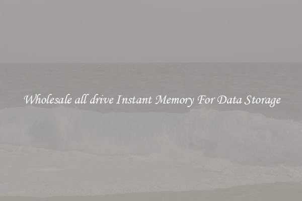 Wholesale all drive Instant Memory For Data Storage