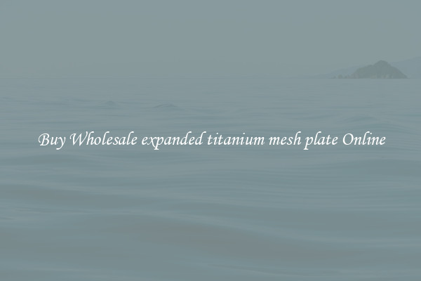 Buy Wholesale expanded titanium mesh plate Online