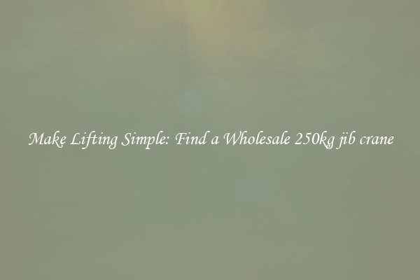 Make Lifting Simple: Find a Wholesale 250kg jib crane