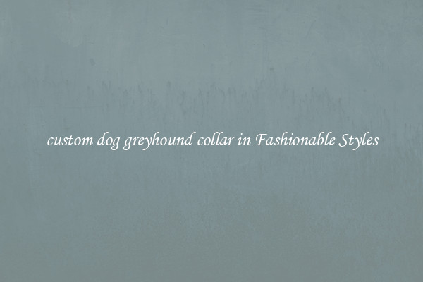 custom dog greyhound collar in Fashionable Styles