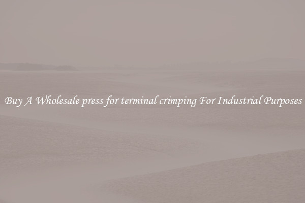 Buy A Wholesale press for terminal crimping For Industrial Purposes
