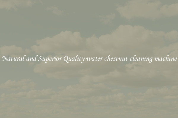 Natural and Superior Quality water chestnut cleaning machine