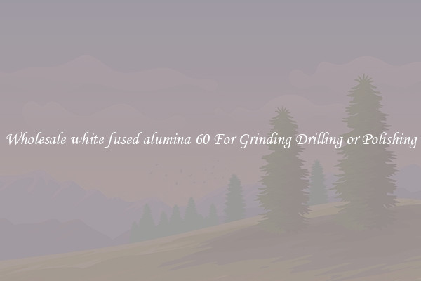 Wholesale white fused alumina 60 For Grinding Drilling or Polishing